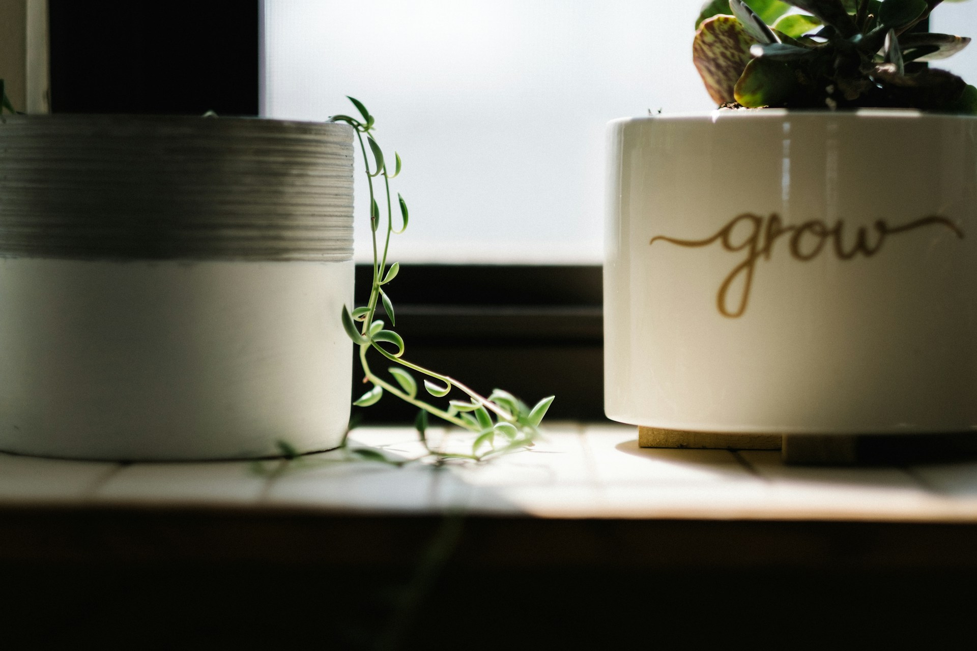 You Grow and Change or Shrink and Stagnate