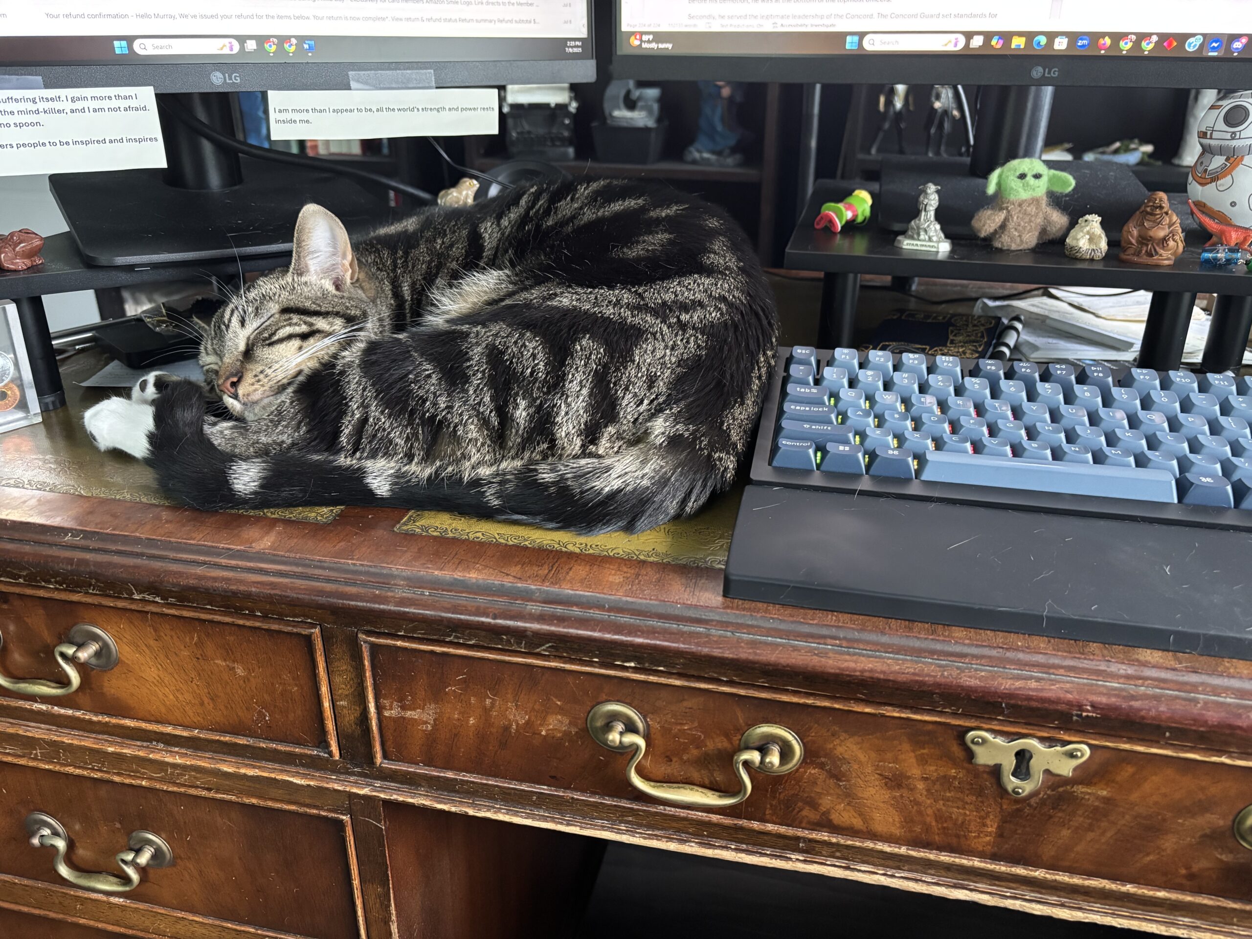 Storyteller’s Log, 17 July 2025