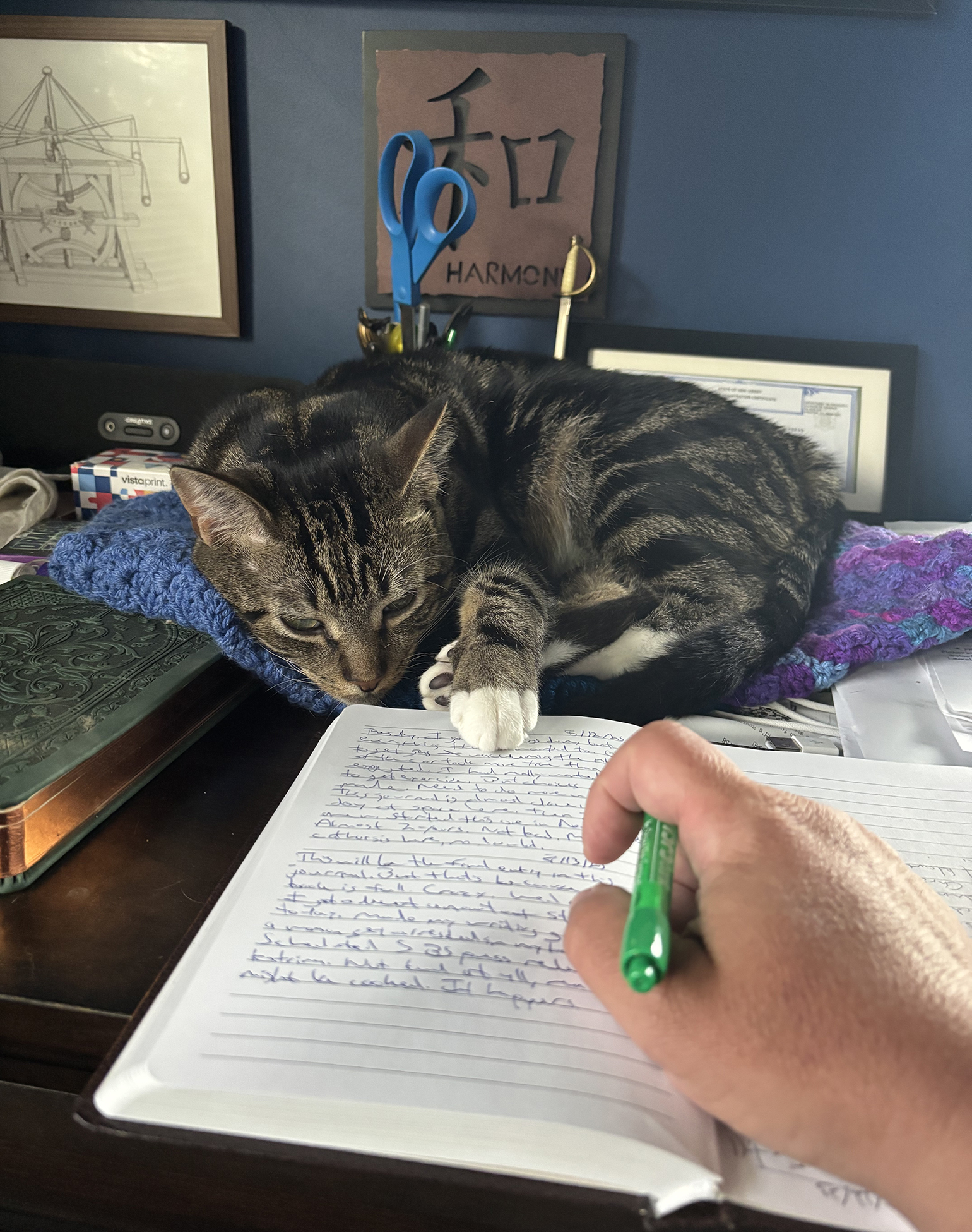Storyteller’s Log, 21 August 2025