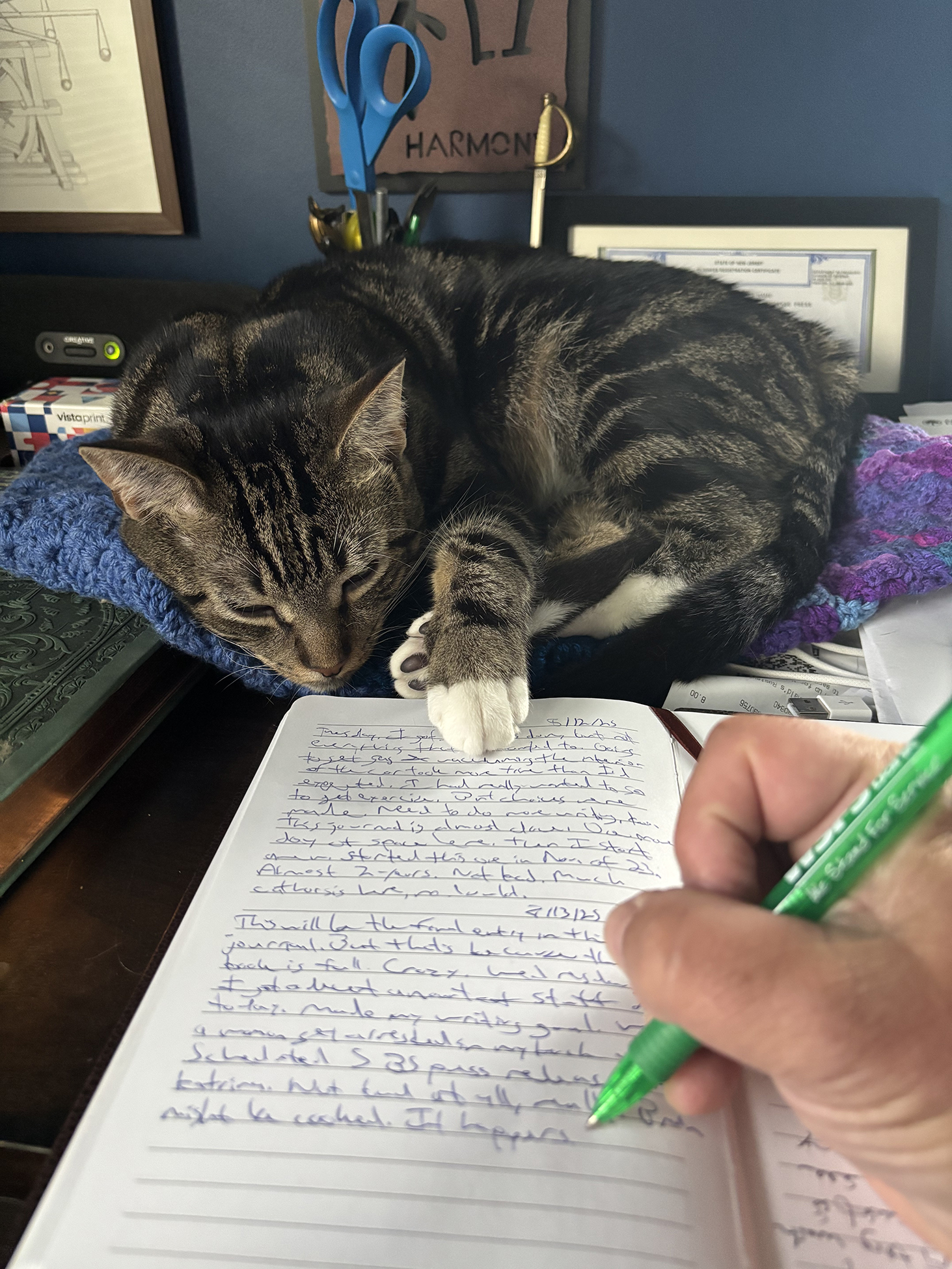 Storyteller’s Log, 14 August 2025